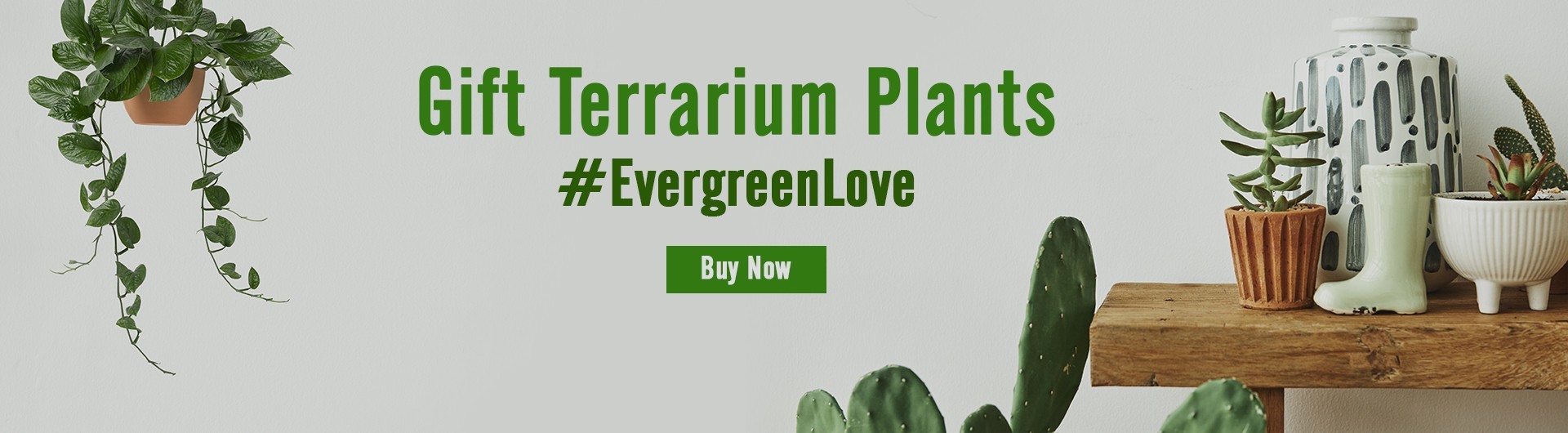 plants-homepage-1